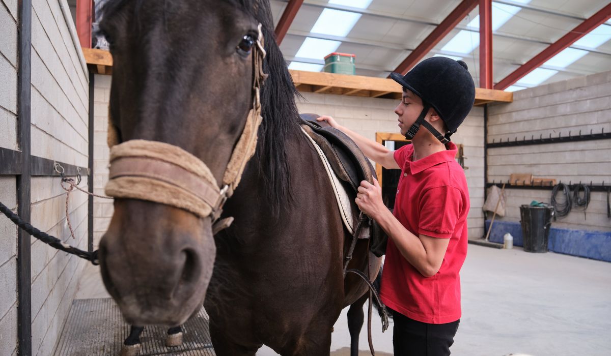 Boy brushing horse