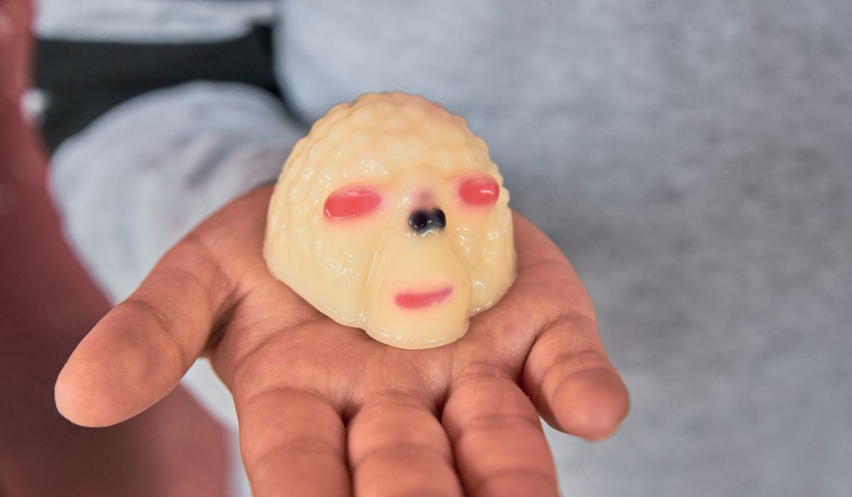 Popular squishy toy game can harm kids.