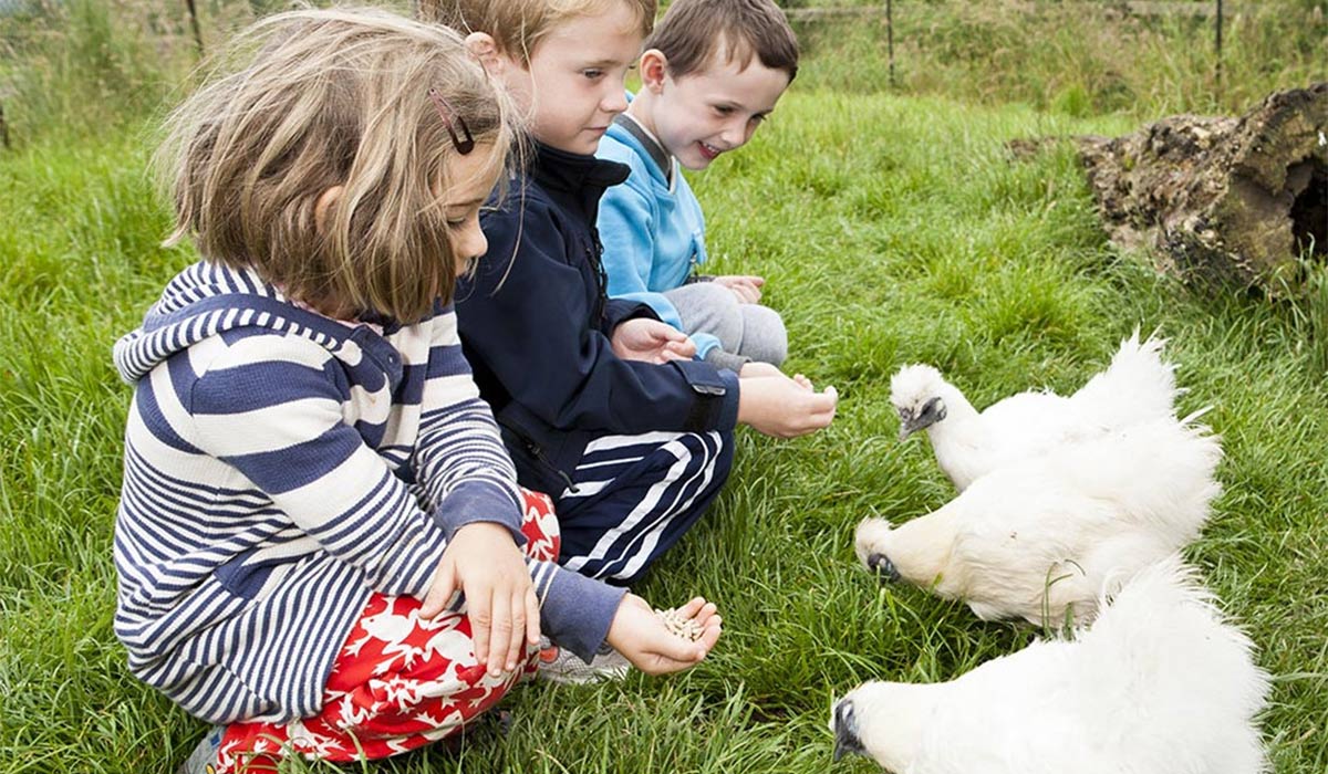 Newgrange Farm. Pic: Your Days Out