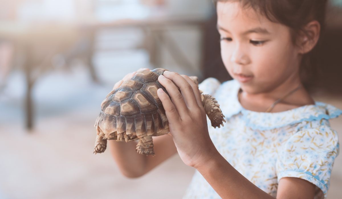 Girl with pet tortoise