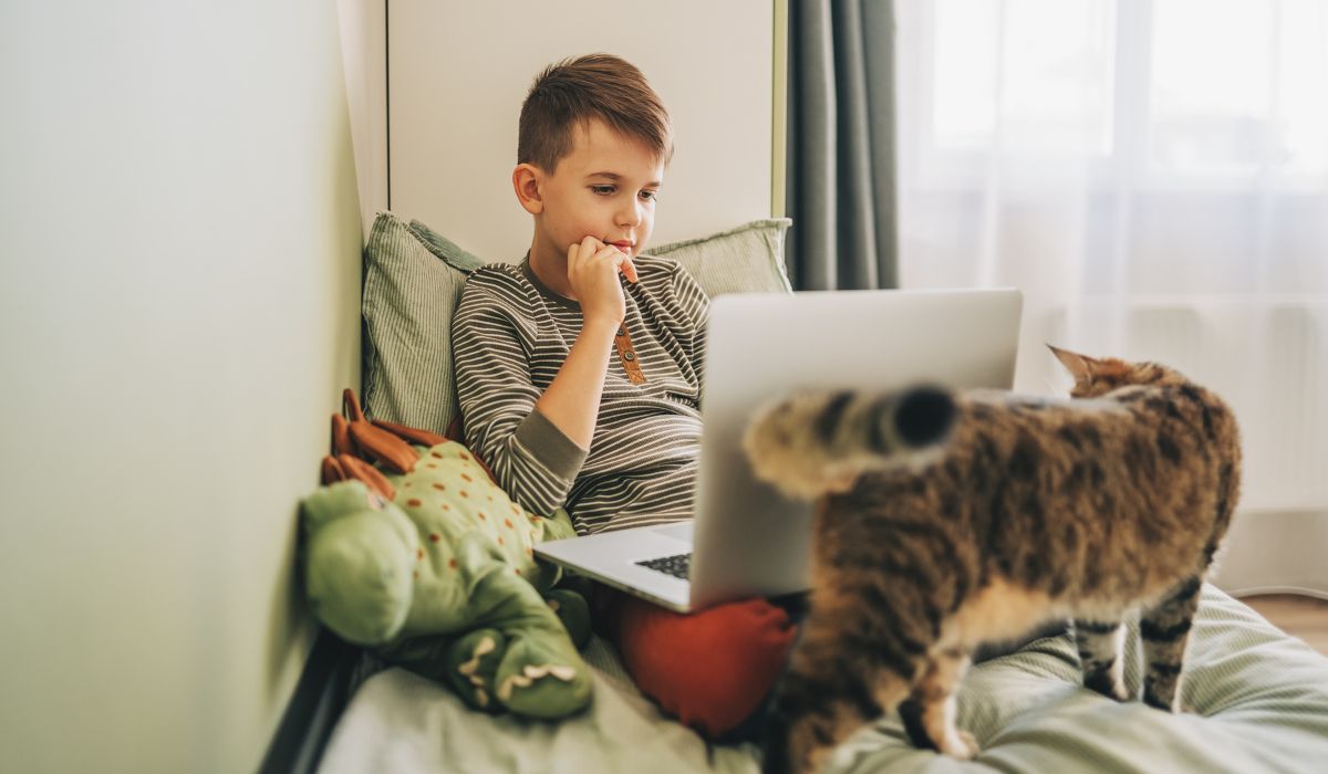 Young boy using laptop in his bedroom