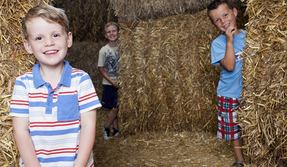 Newgrange Farm. Pic: Your Days Out
