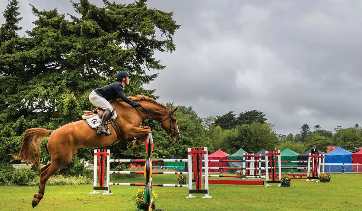 Flavours of Fingal County Show. Pic: Flavoursoffingal.ie