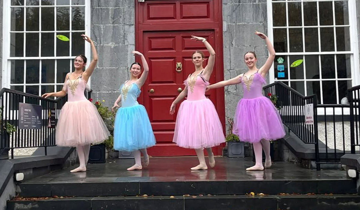 Boyle Arts Festival. Pic: Boyle Arts Festival/Facebook