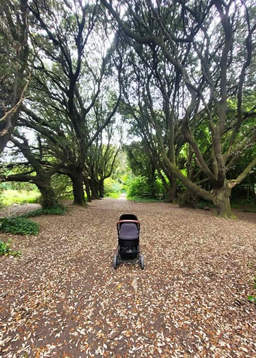 Stroll through St Anne's Park on my Maternity Leave. Pic: Supplied