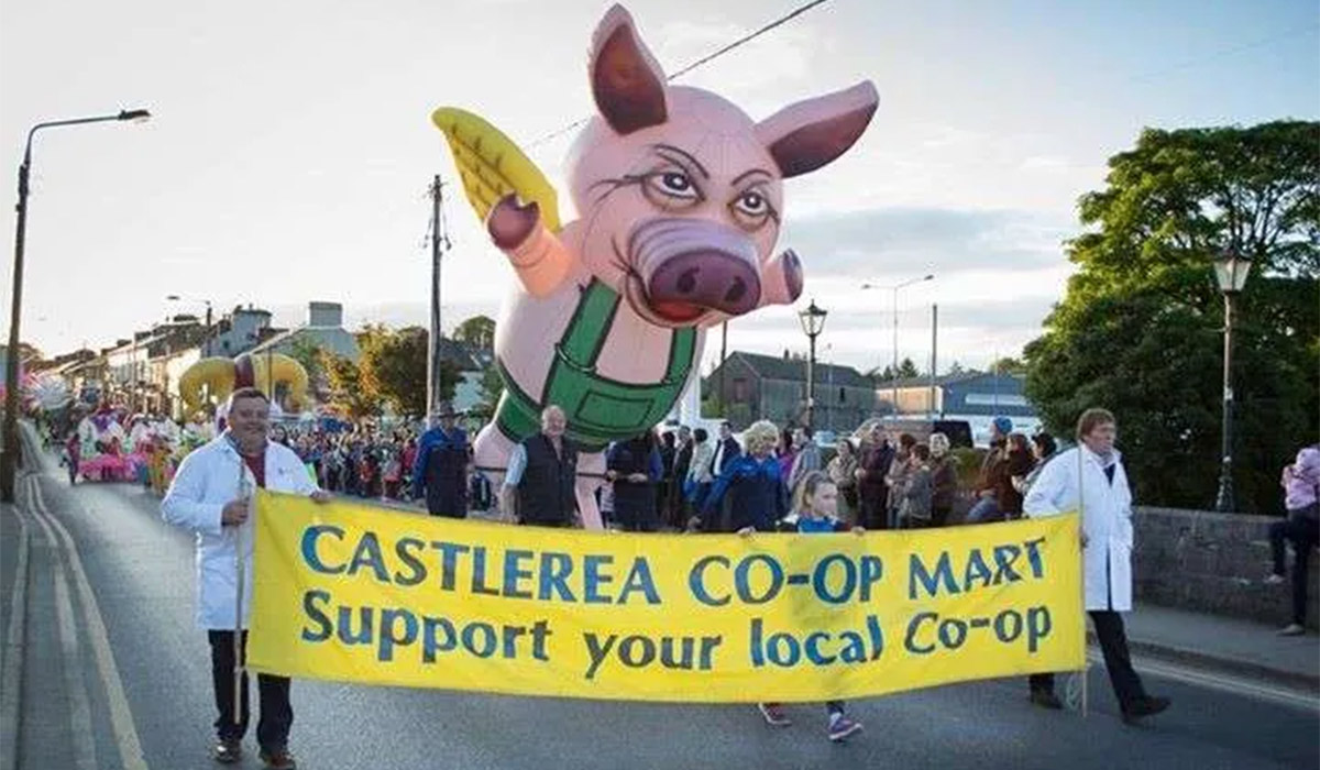 Castlerea Rose Festival. Pic: castlerea.ie