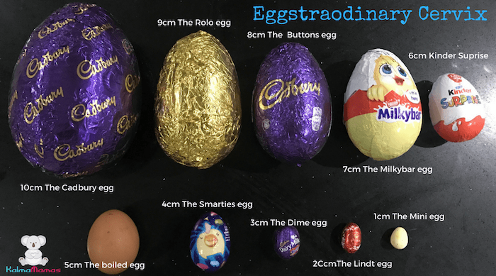 You'll Love This Easter Egg Cervix Dilation Chart (But It Might Ruin Easter)